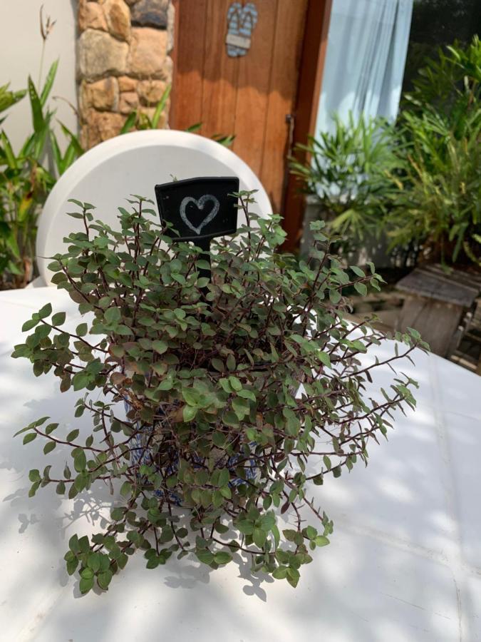 Almas Gemeas Suite Com Cozinha Praia Da Ribeira Angra dos Reis Zewnętrze zdjęcie